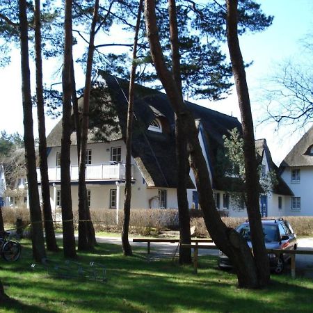 Zingst Achtern Diek 12D Elly Exterior foto