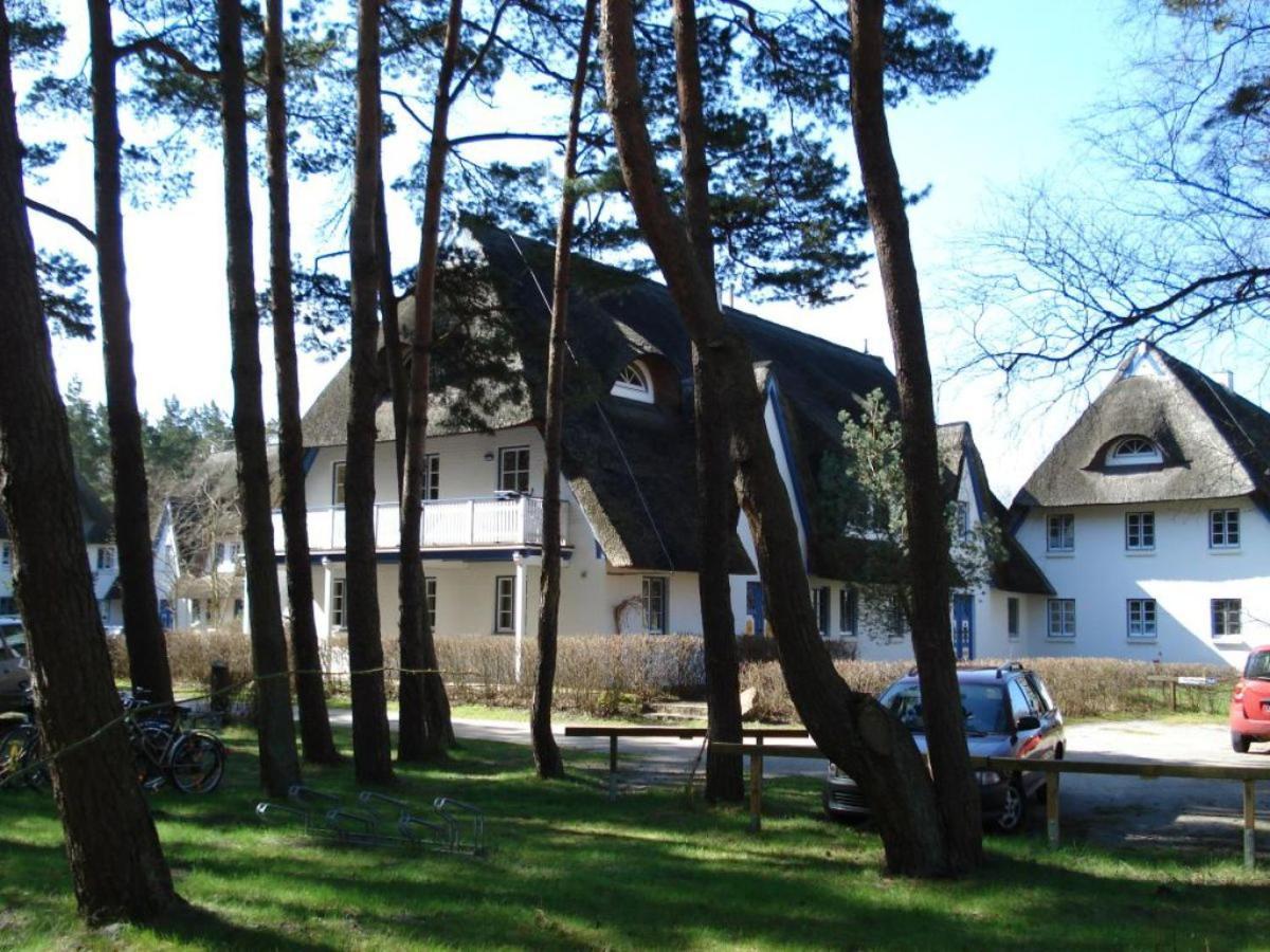 Zingst Achtern Diek 12D Elly Exterior foto