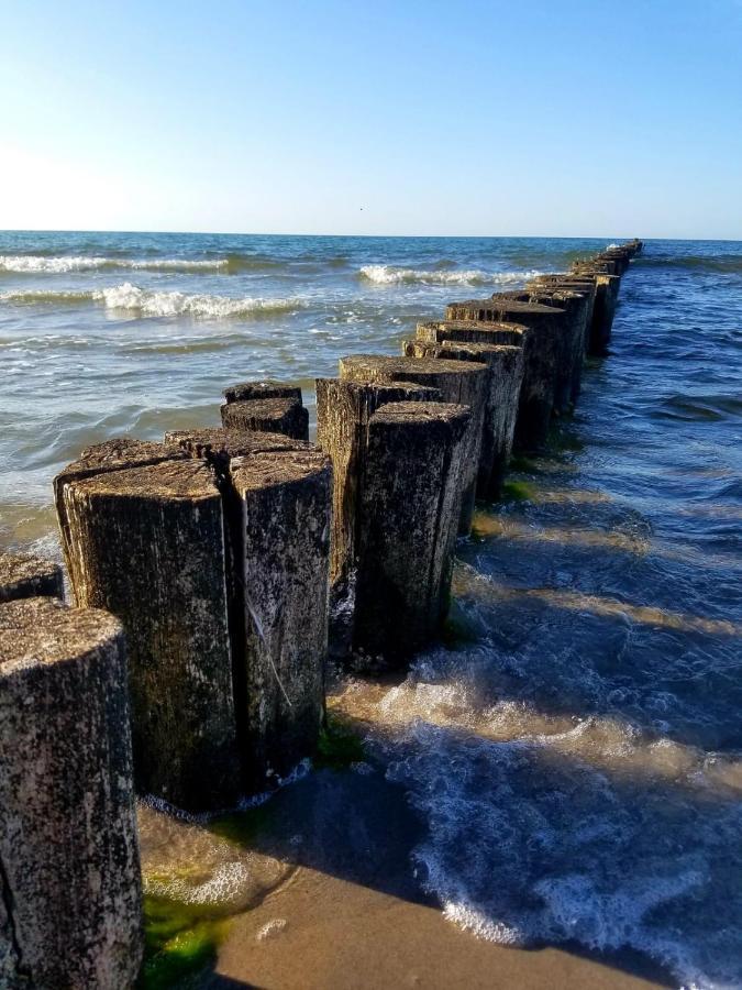 Zingst Achtern Diek 12D Elly Exterior foto