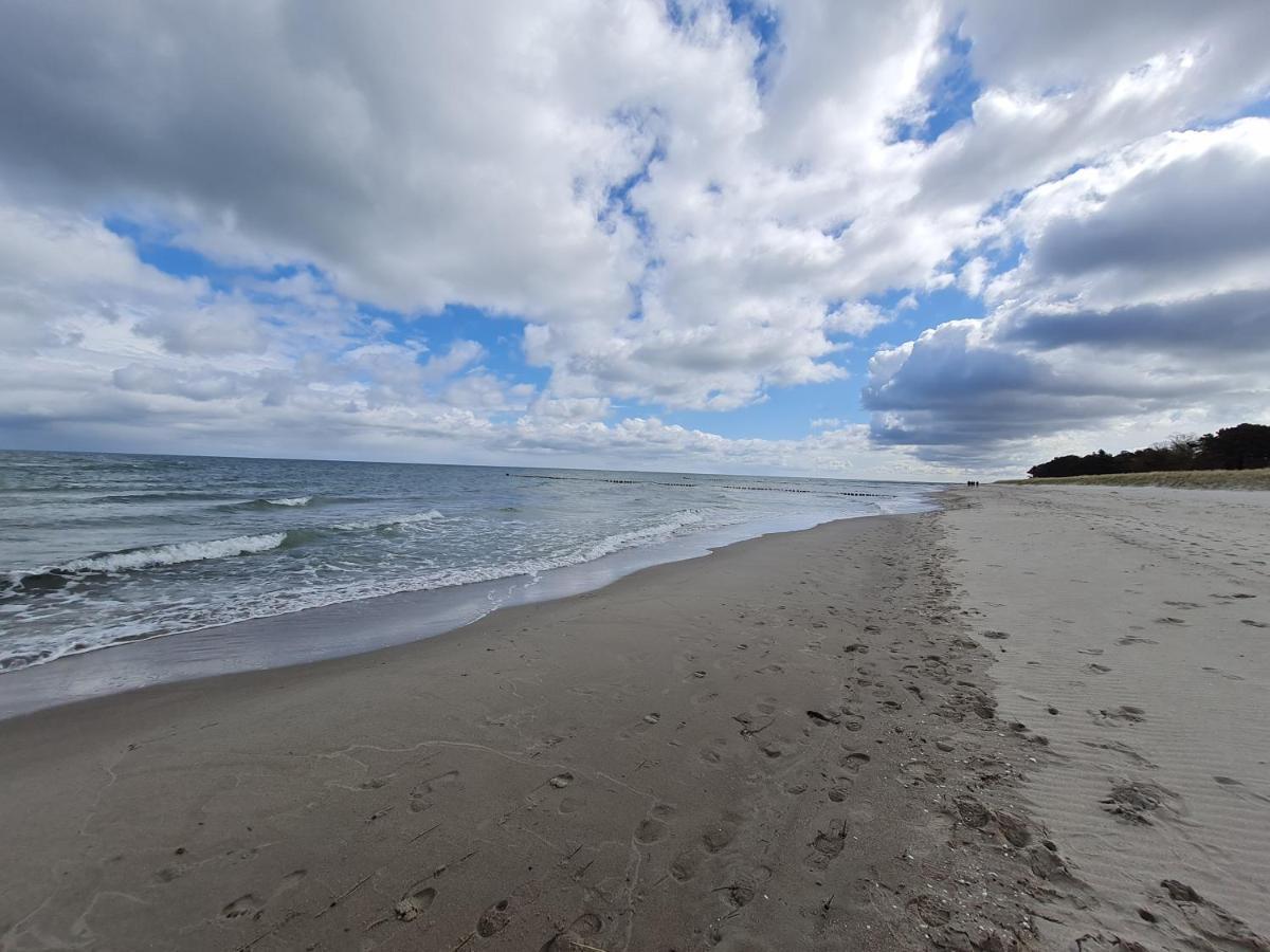 Zingst Achtern Diek 12D Elly Exterior foto